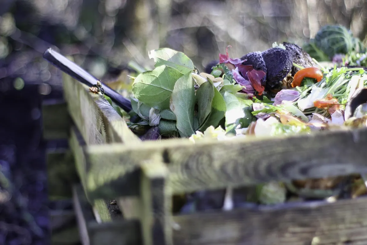 How to Start a No-Dig Vegetable Patch in a Country Garden