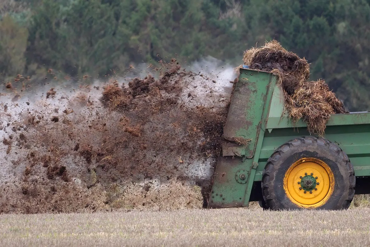 Seasonal Guide to Muck Spreading and Soil Care on a Smallholding